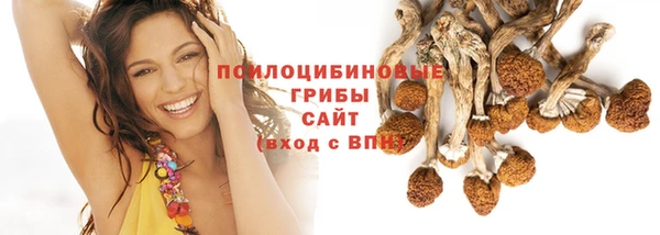 mdpv Бугульма