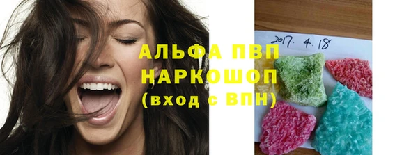 spice Бородино
