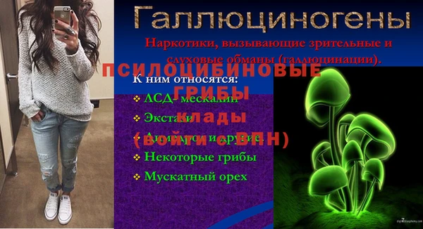 mdpv Бугульма