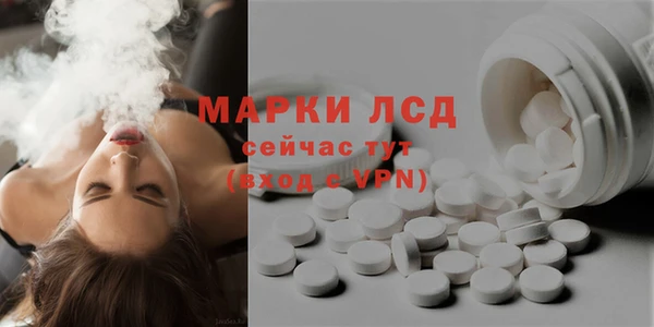 spice Бородино