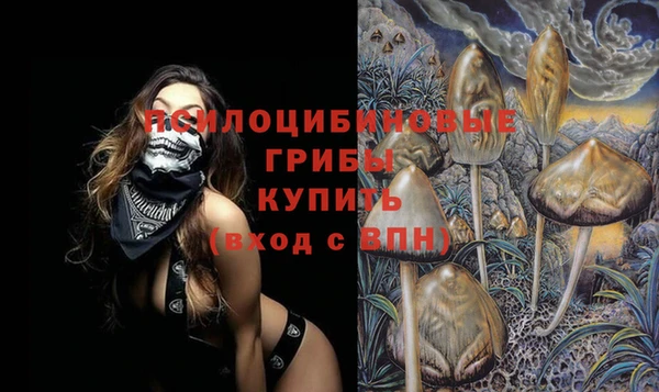mdpv Бугульма