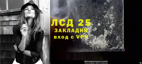 spice Бородино