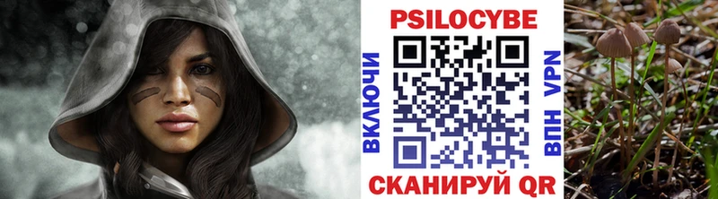 Псилоцибиновые грибы Psilocybine cubensis  Купить где  Туапсе 